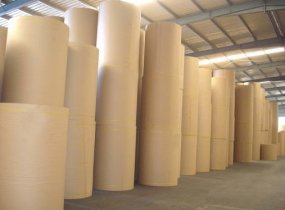 Ngành công nghiệp giấy của Việt Nam hiện nay