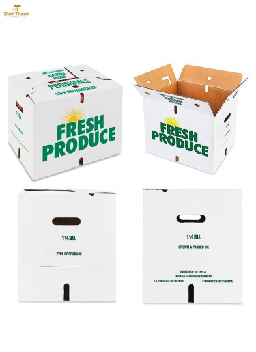 Thùng giấy Thiết kế